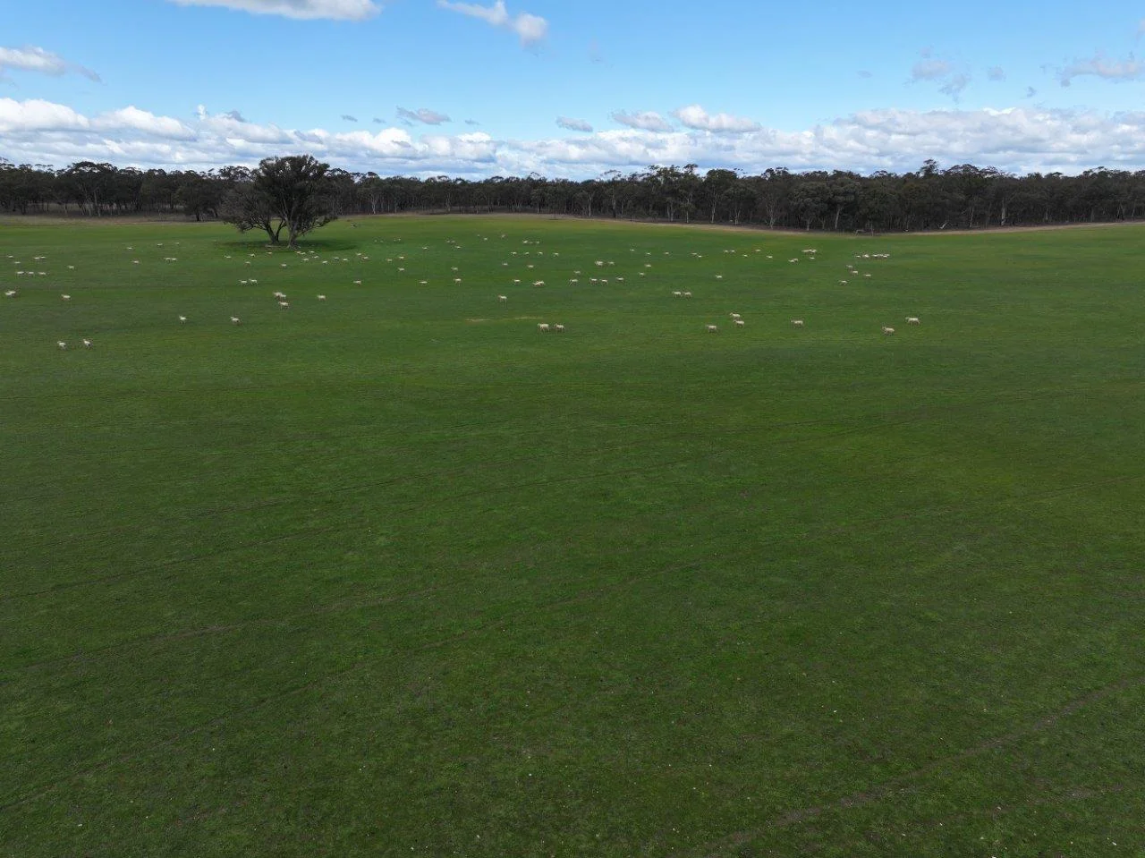 83 Tarnagulla-Eddington Road - Image 4