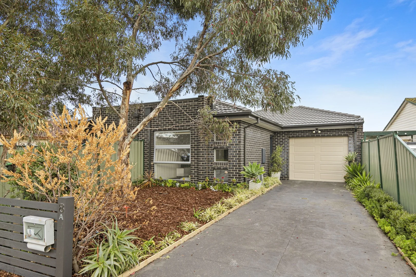 8a Cole Street (1/17)