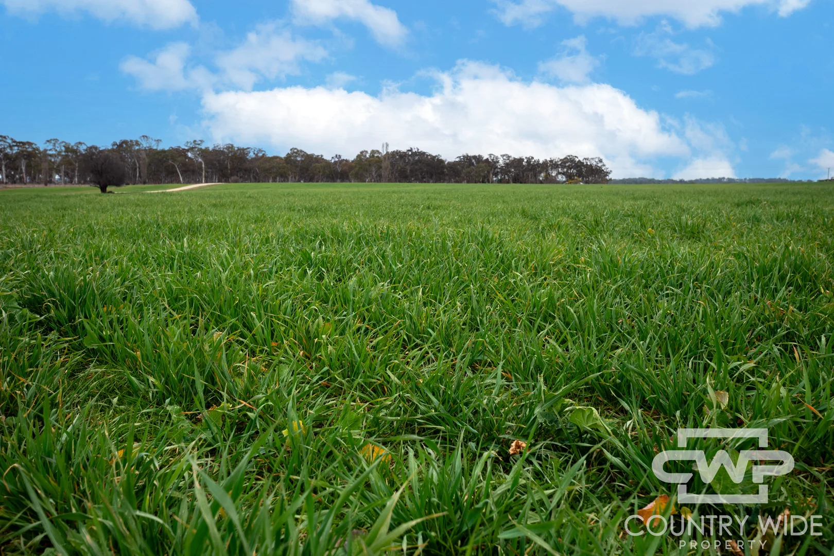 916 Emmaville Road - Image 4