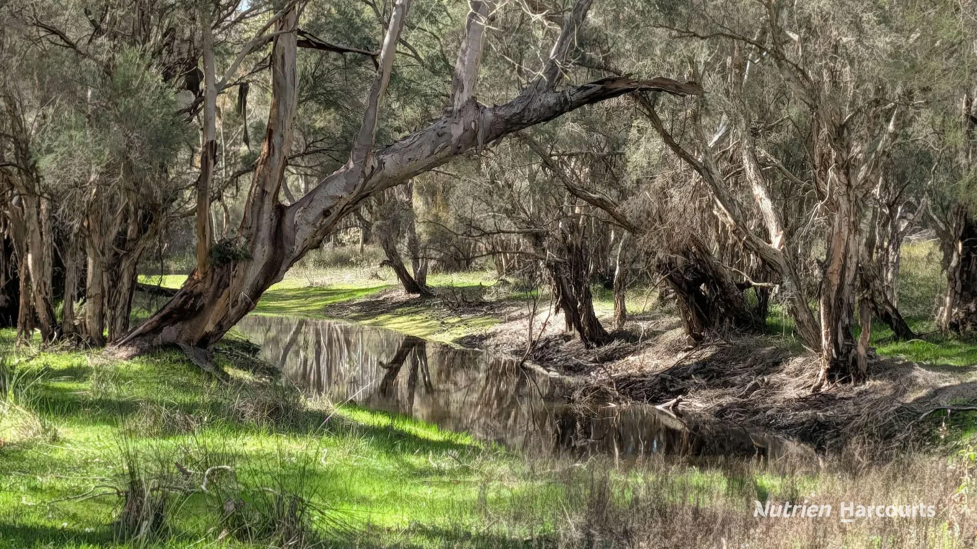 933 Hunter Road - Image 3