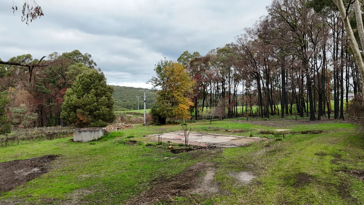95 Wonga Road - Image 3