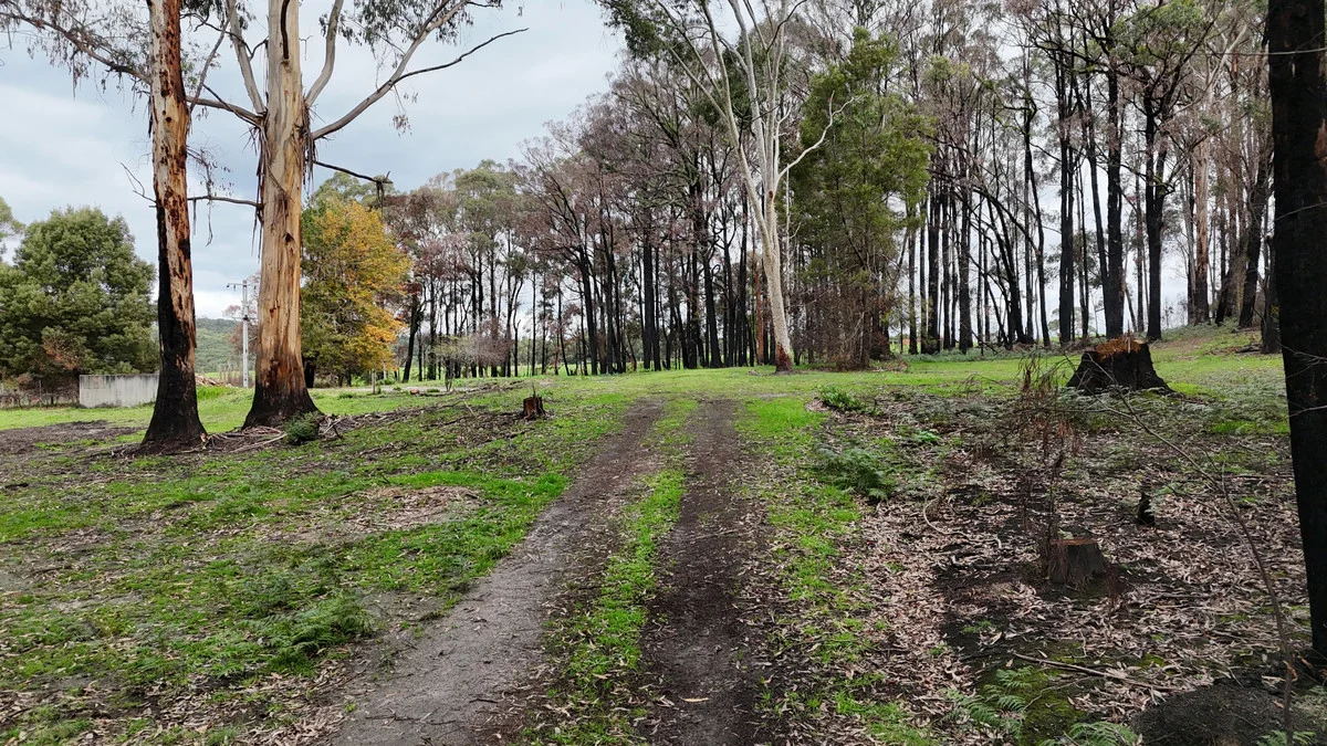 95 Wonga Road - Image 2