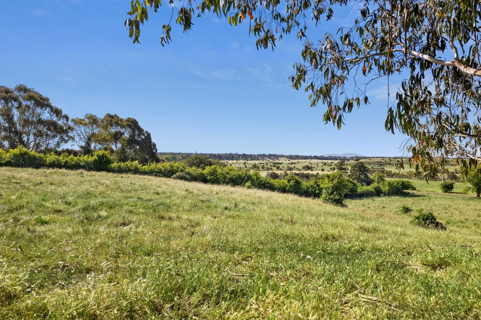 Burton Avenue - Image 4