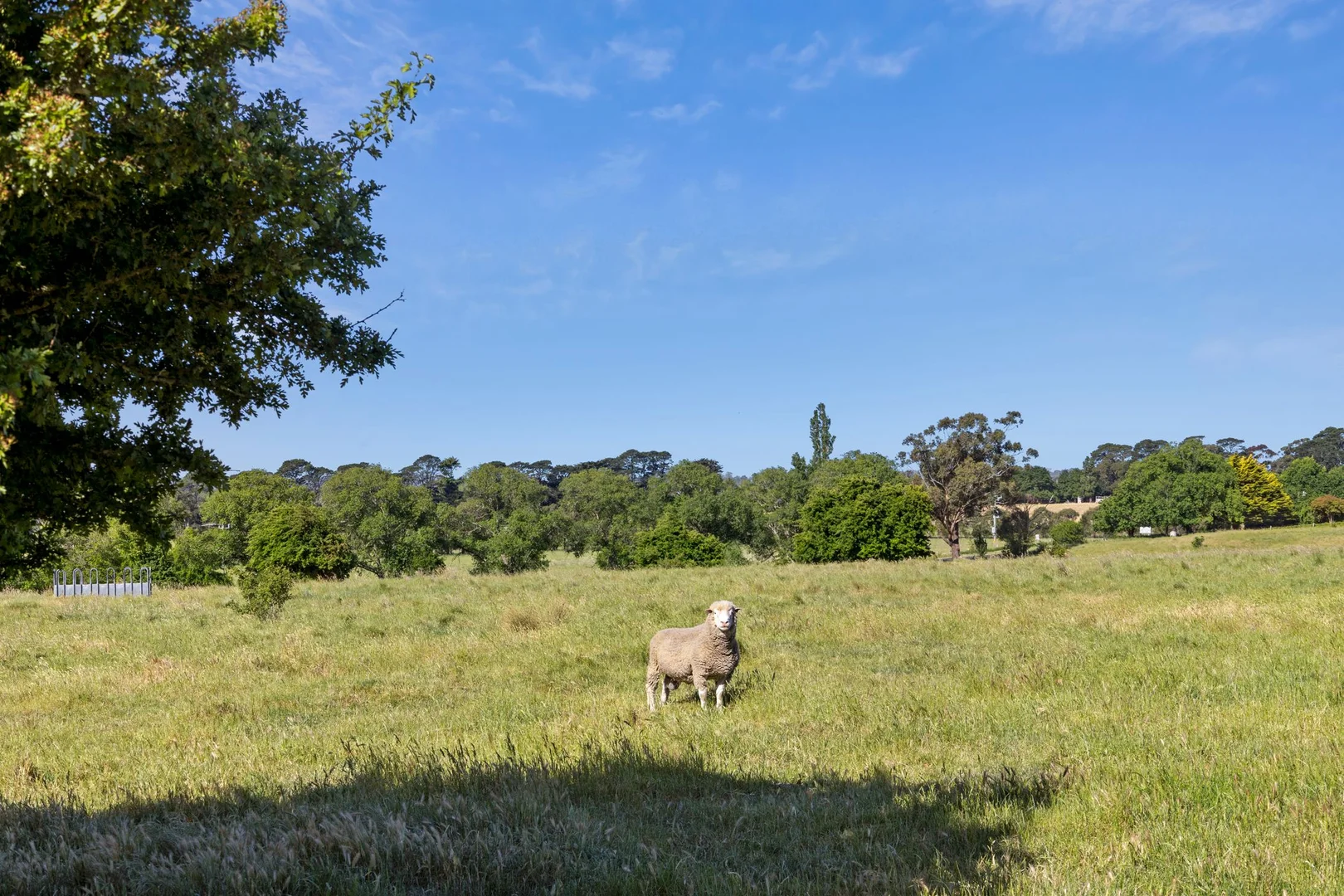 Burton Avenue - Image 5