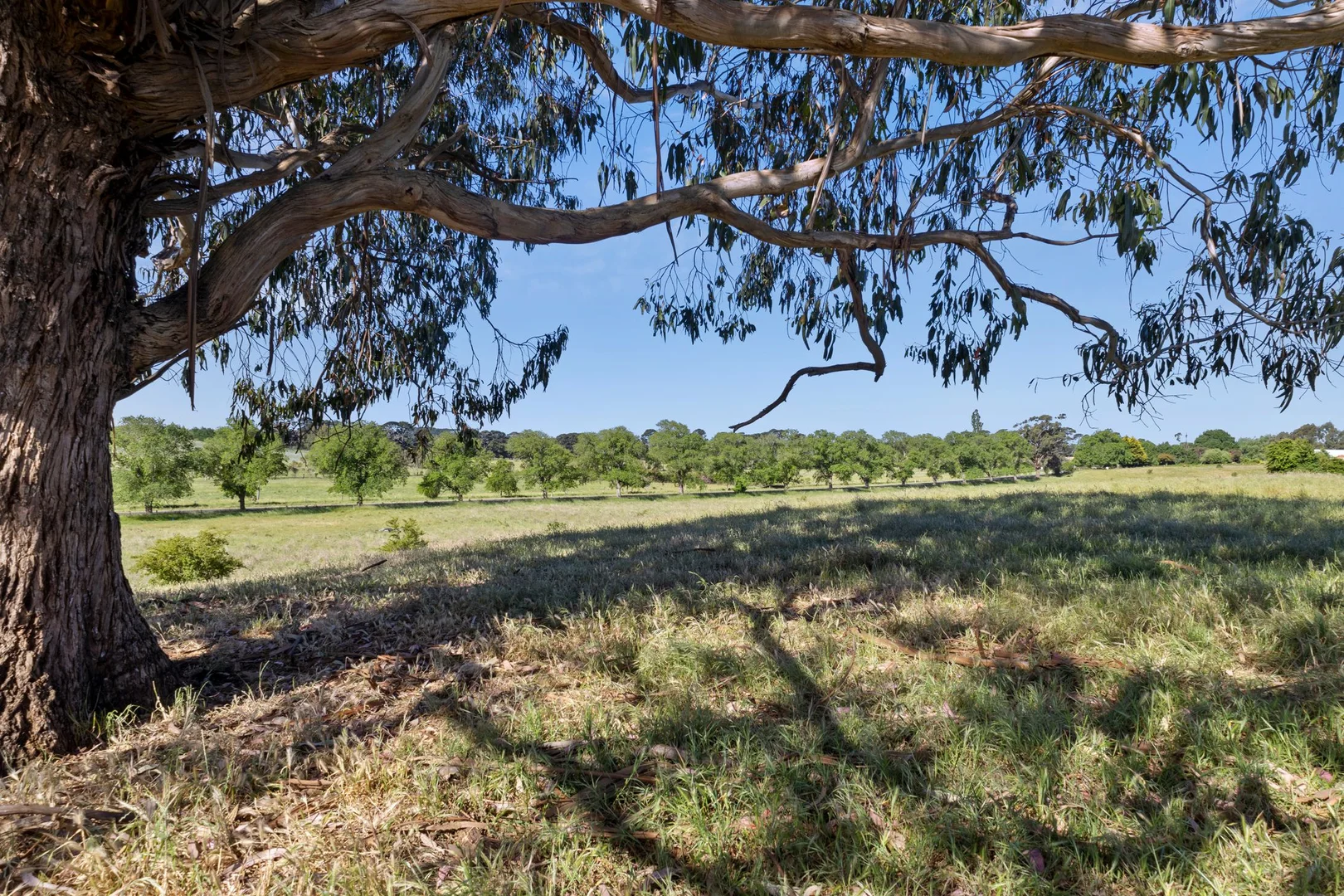 Burton Avenue - Image 3