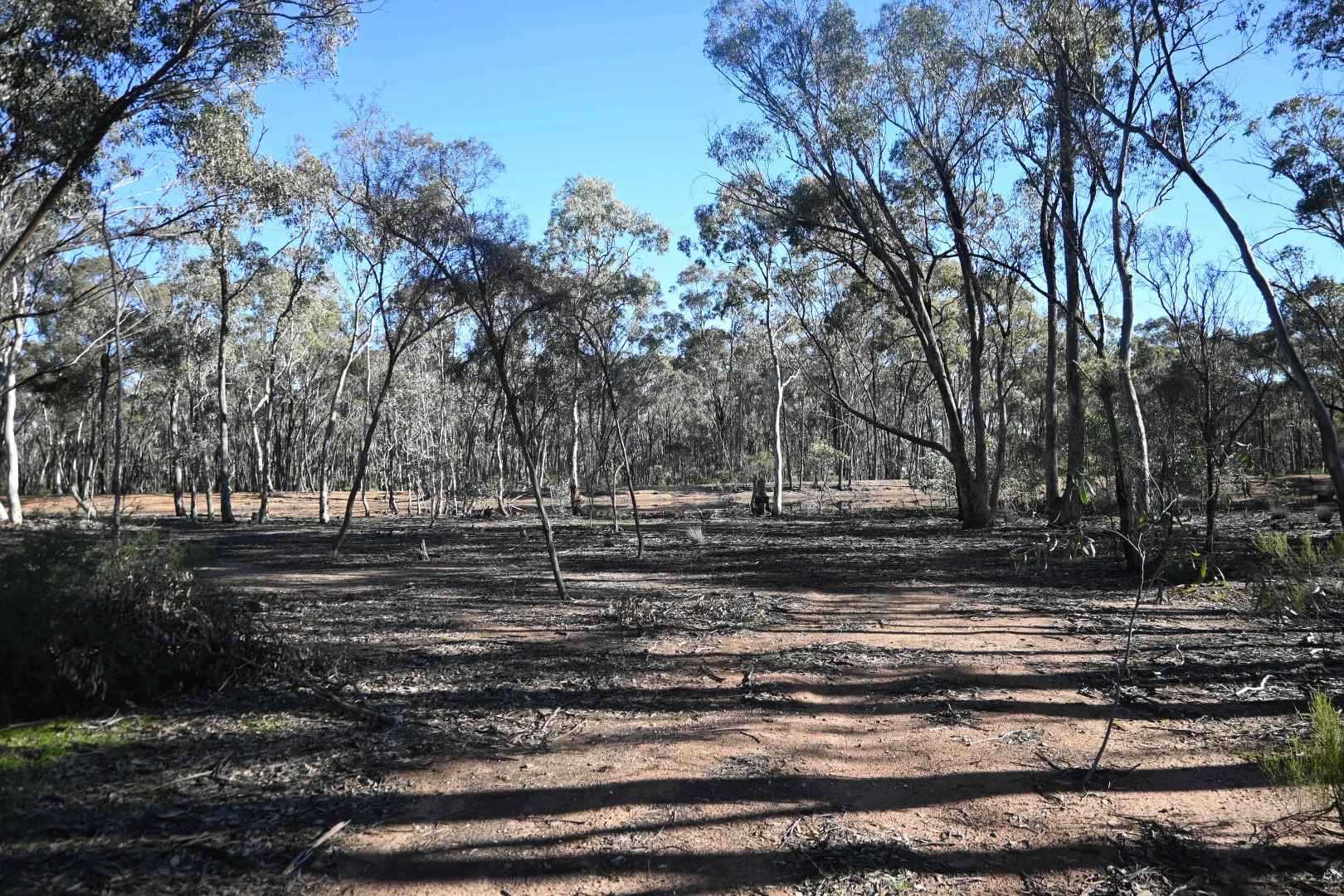 C/A 2 Wattlegum Road - Image 3