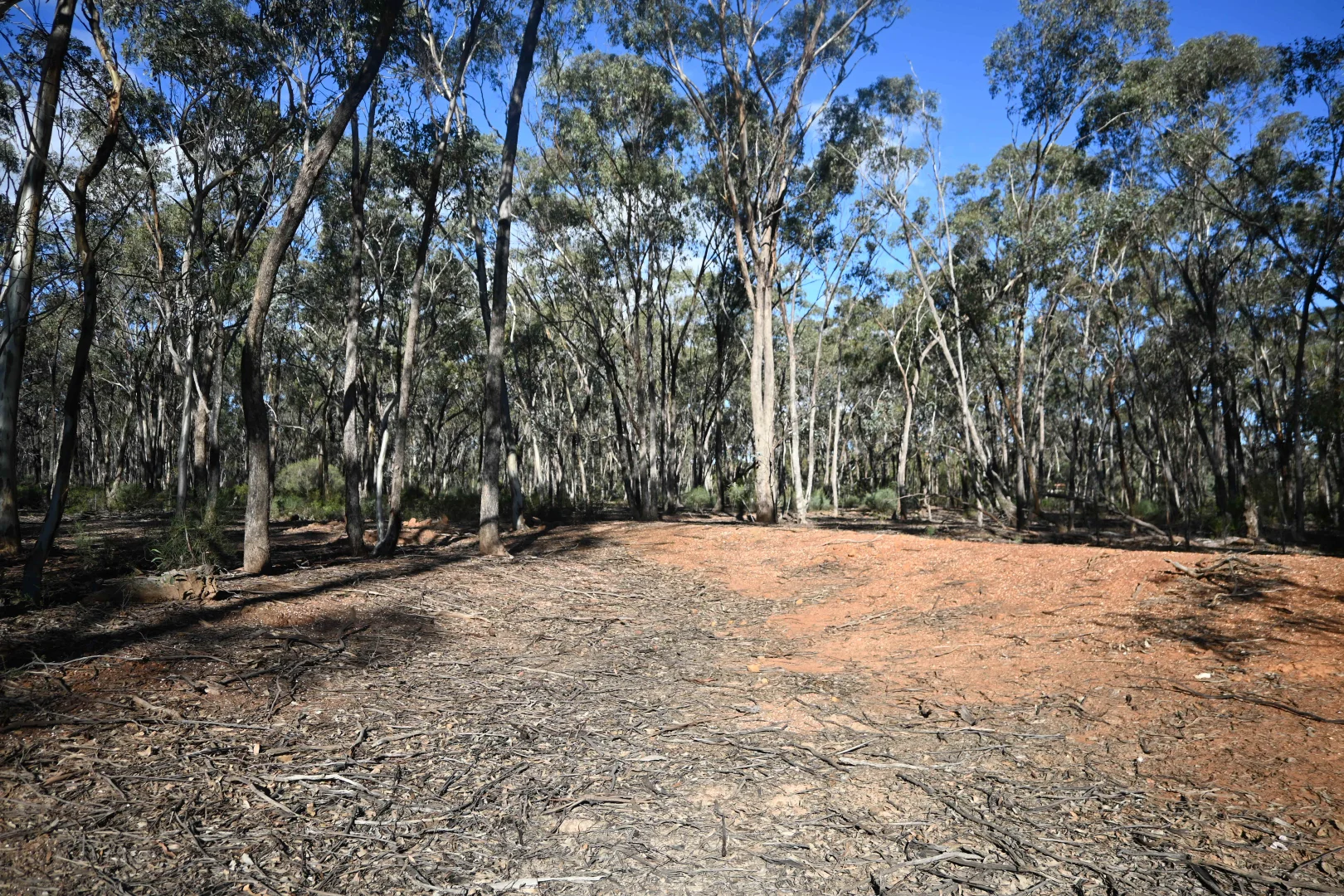 C/A 2 Wattlegum Road - Image 4