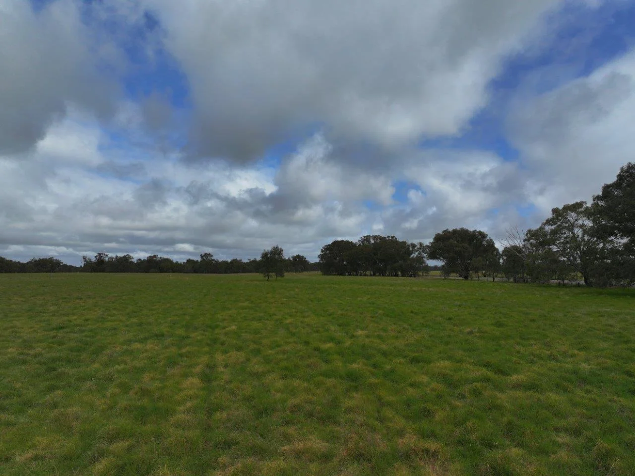 C/A Borung - Prairie Road & Hurstwood School Road - Image 3