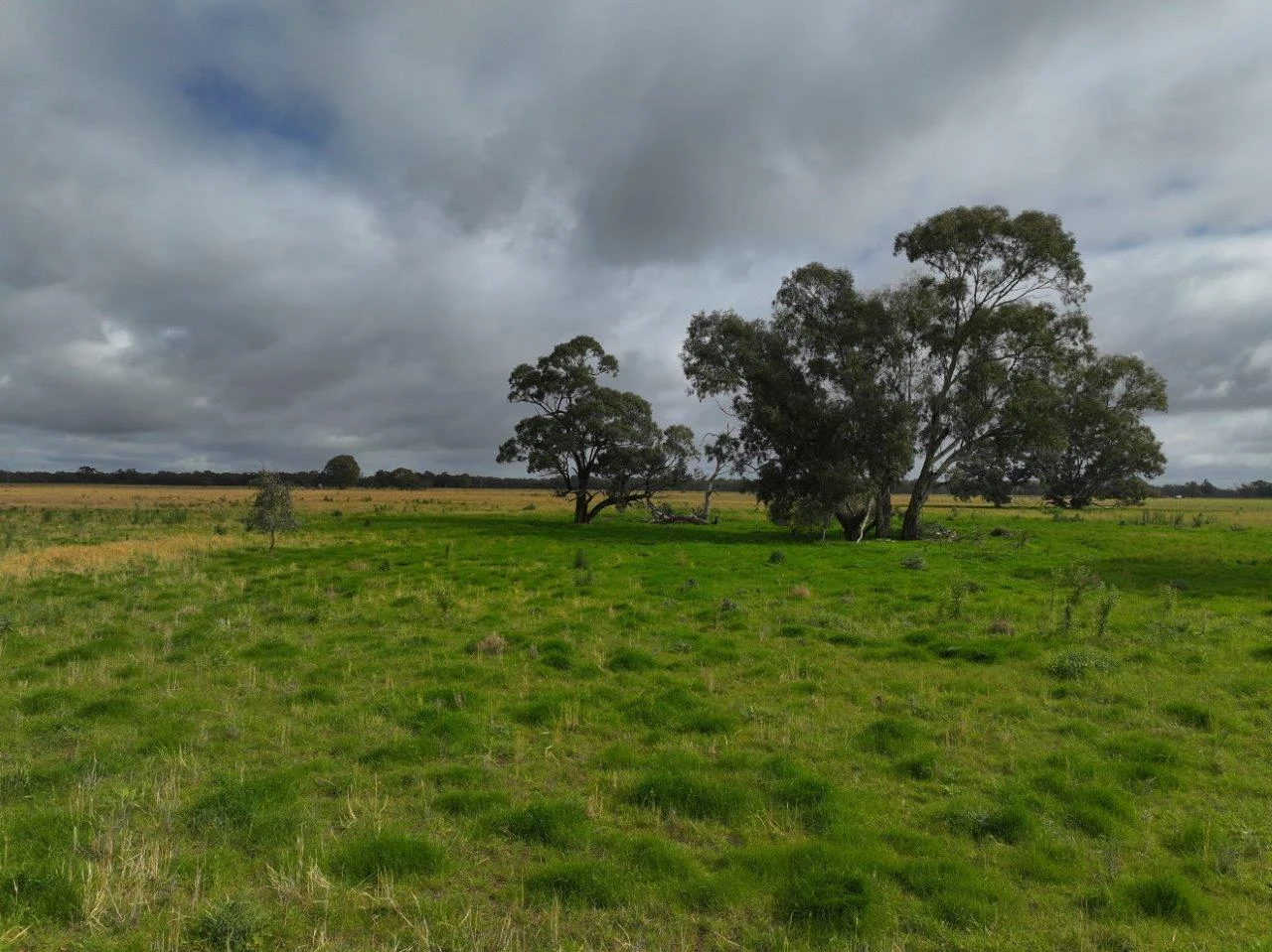 C/A Borung - Prairie Road & Hurstwood School Road - Image 4