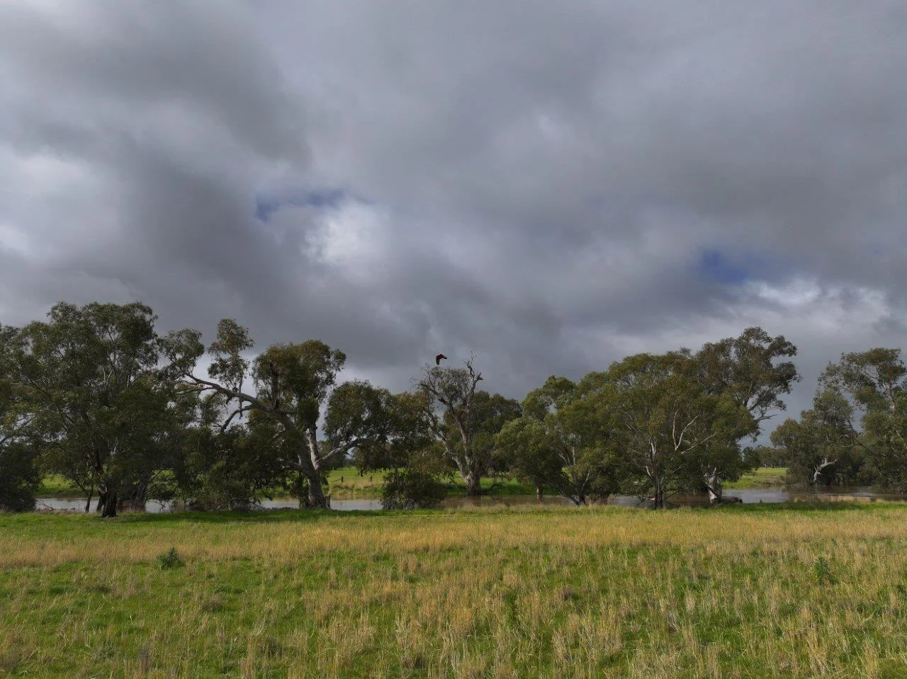 C/A Borung - Prairie Road & Hurstwood School Road - Image 2