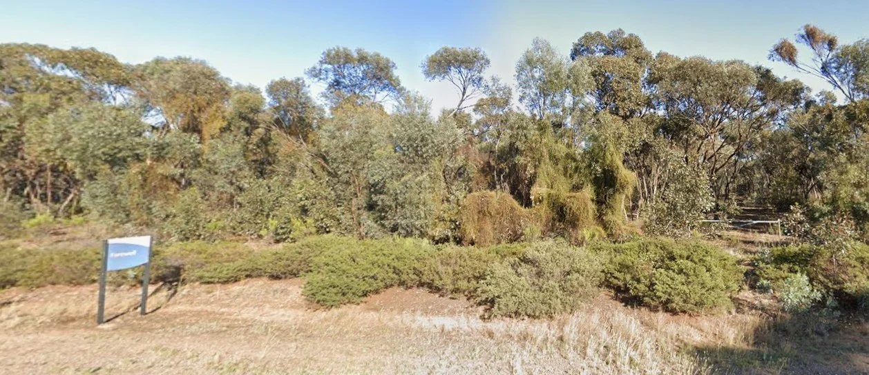 CA - Image 2