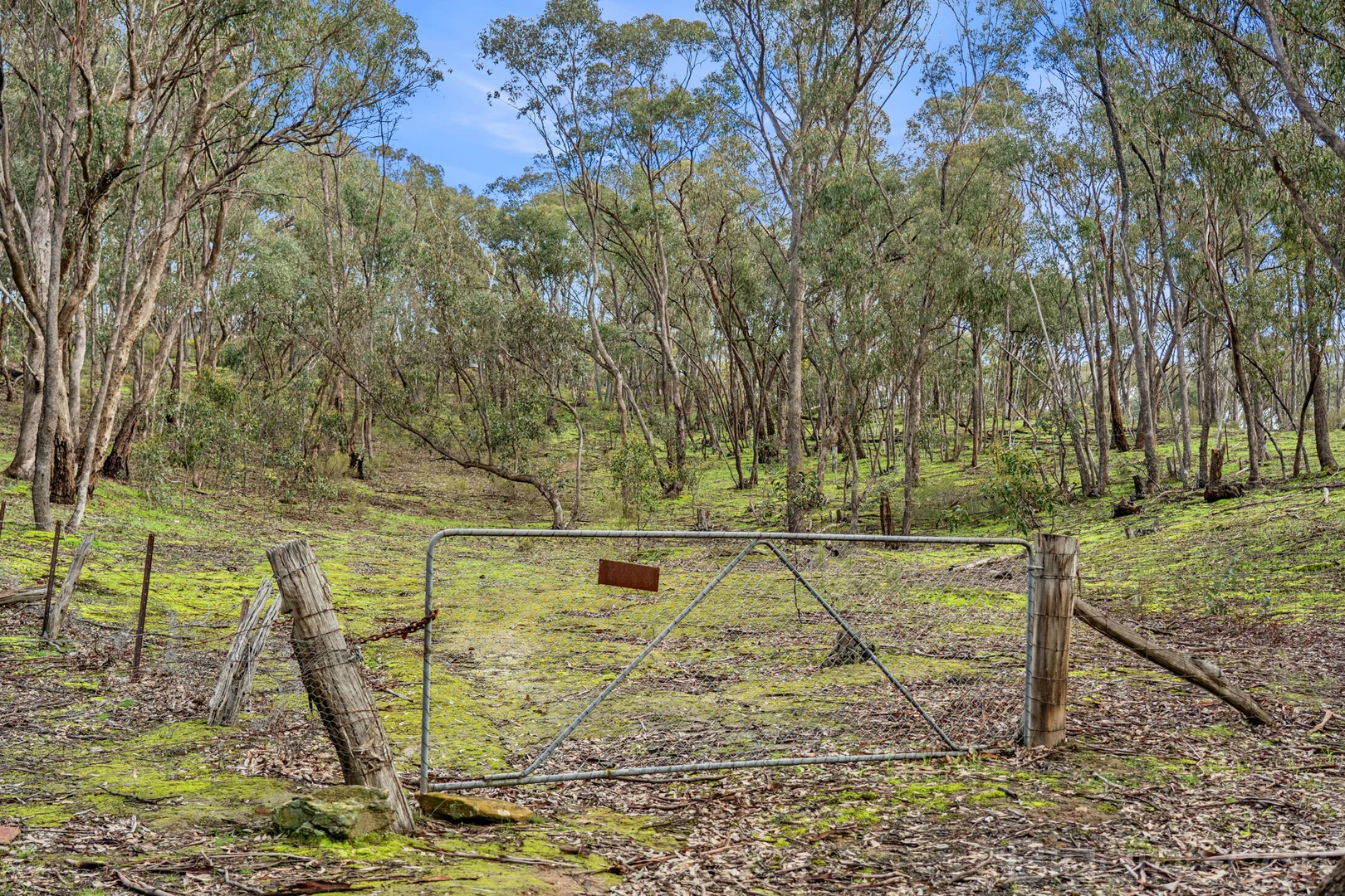 CA 42 Diamond Gully Road - Image 3
