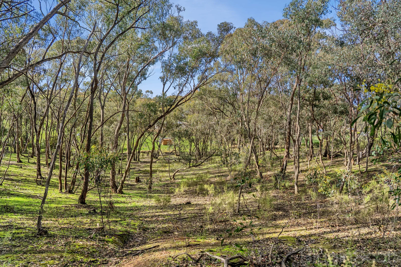 CA 42 Diamond Gully Road - Image 5