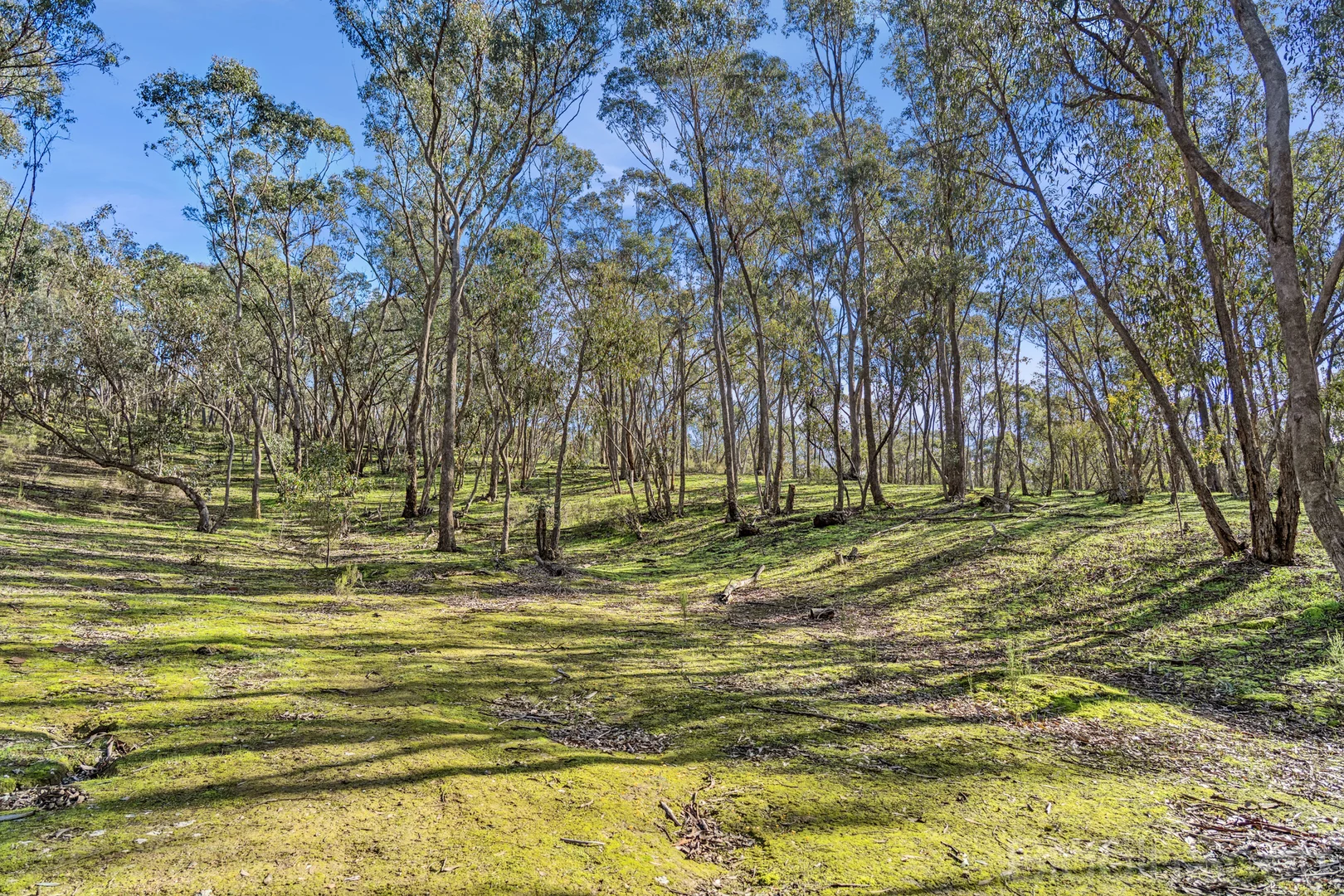 CA 42 Diamond Gully Road - Image 4