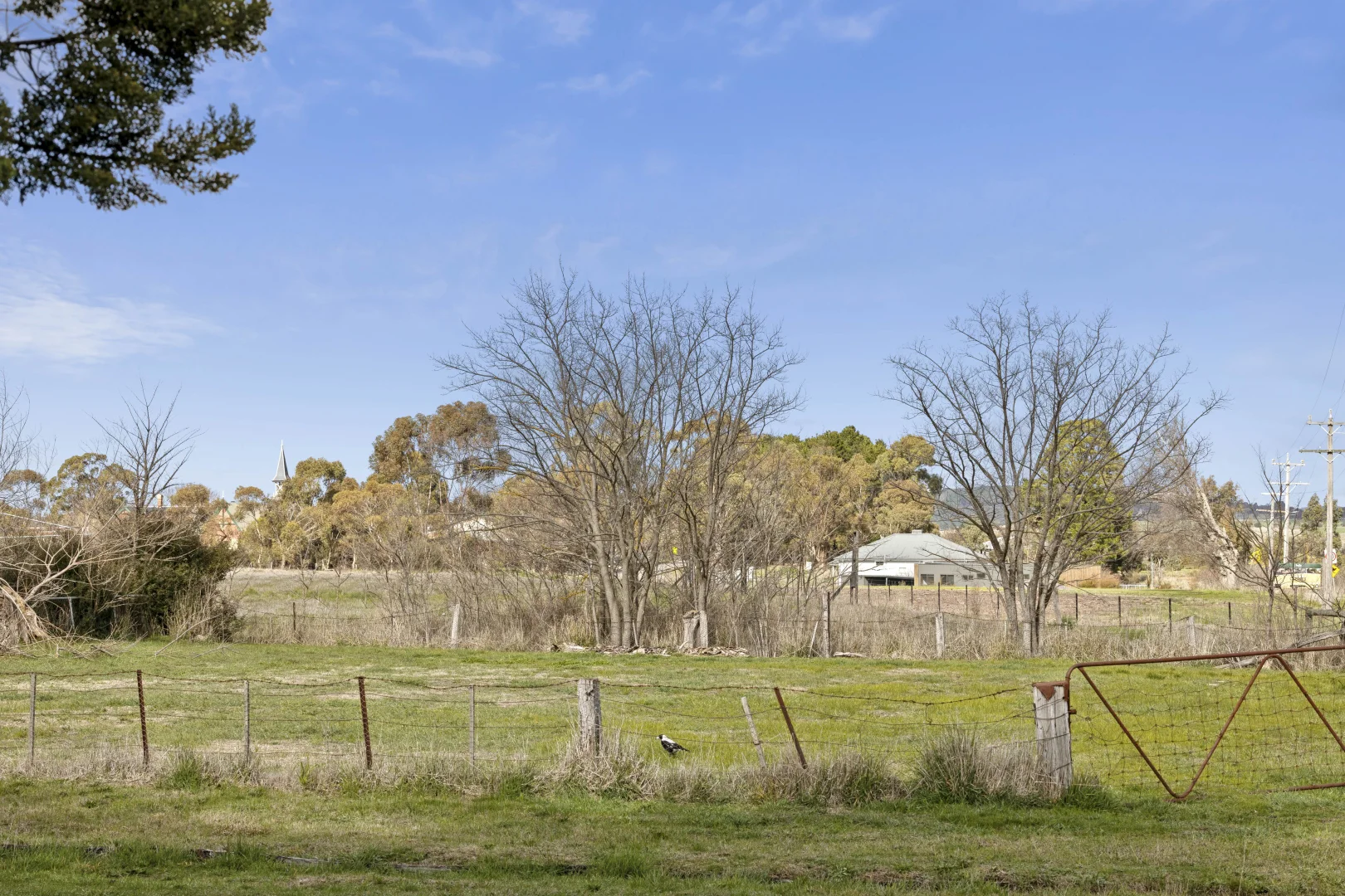 CA1 Sec10 Albert Street - Image 5