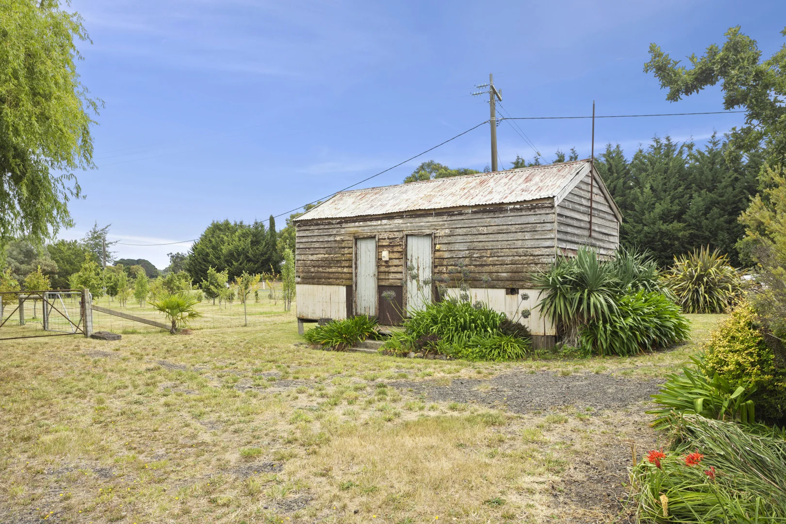 CA7 Sec 50 Lasslett Street - Image 3