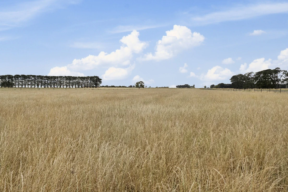 Castle Carey Road - Image 3