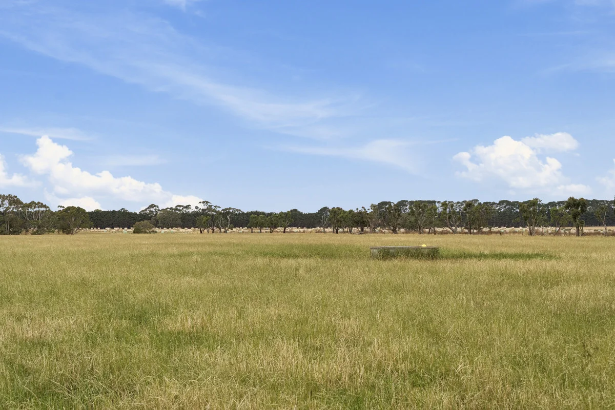 Castle Carey Road - Image 5