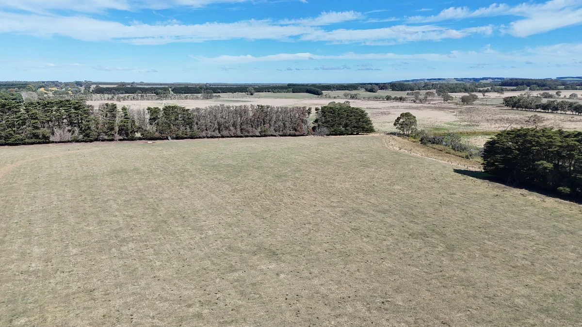 Cobden-Terang Road - Image 4