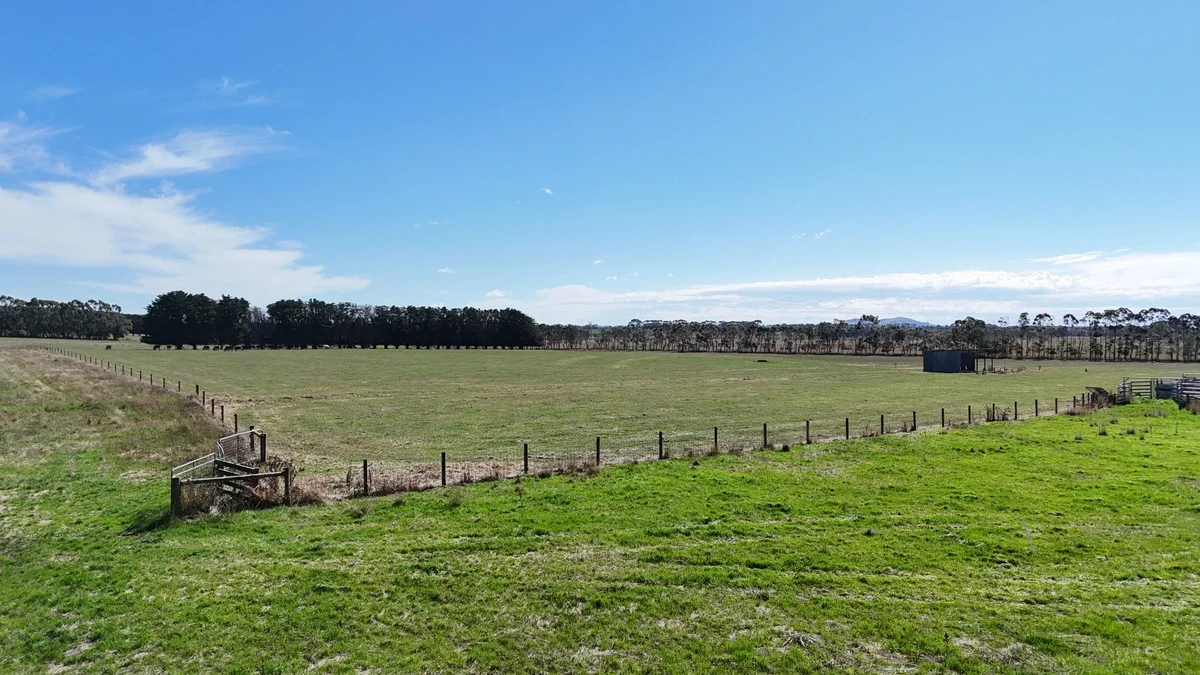 Cobden-Terang Road - Image 5