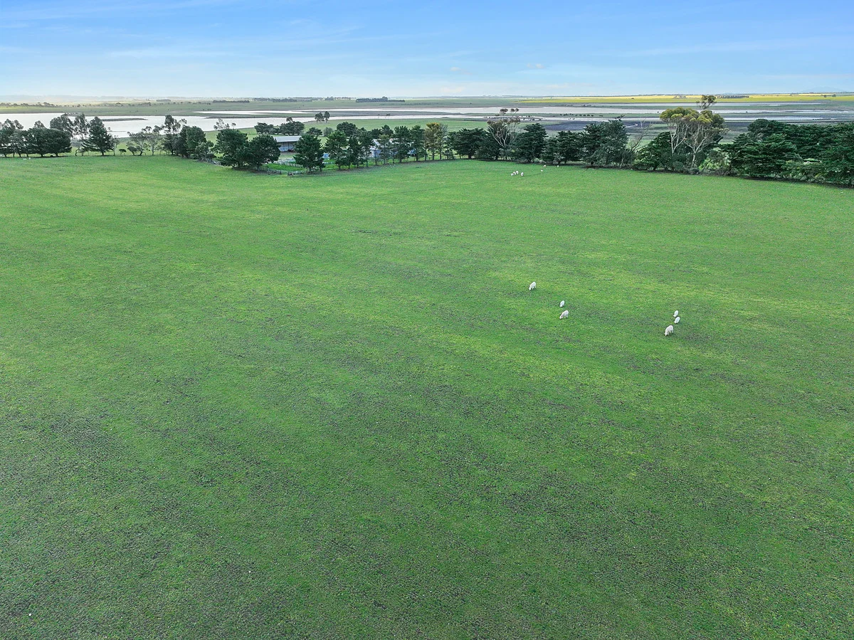 Darlington-Carranballac Road - Image 3