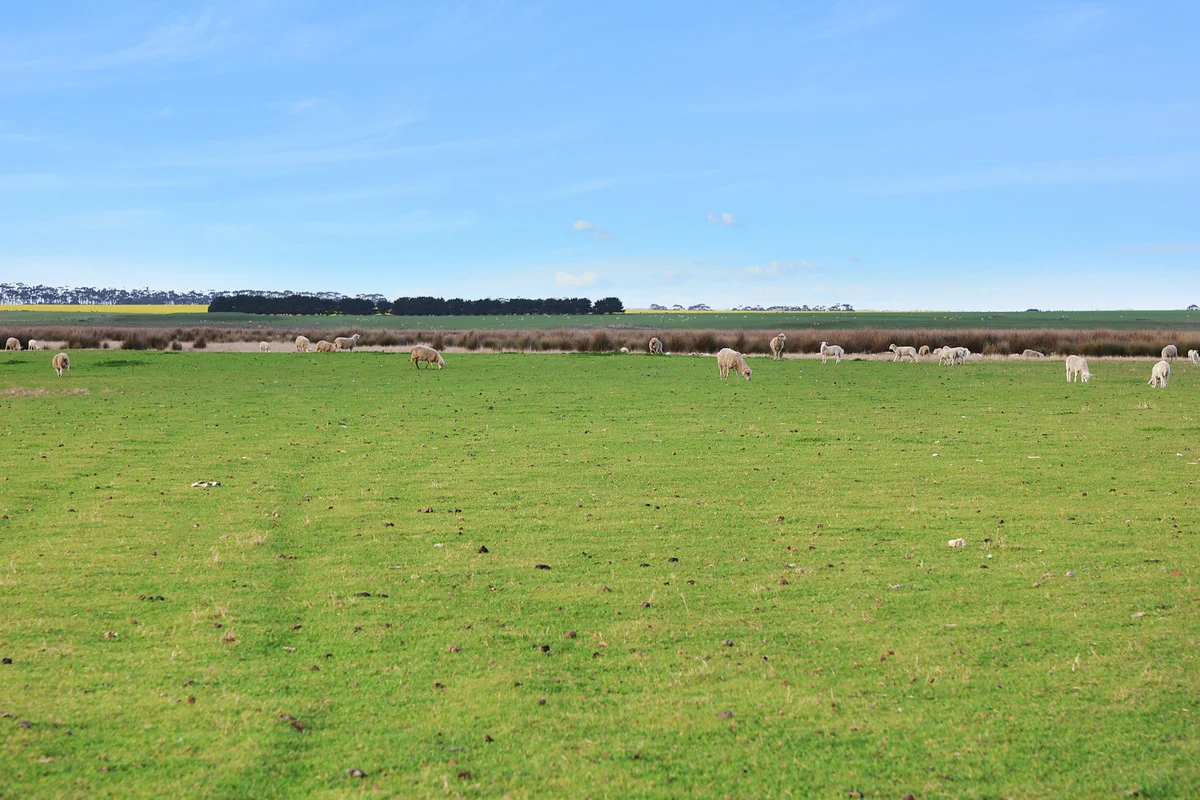 Darlington-Carranballac Road - Image 5