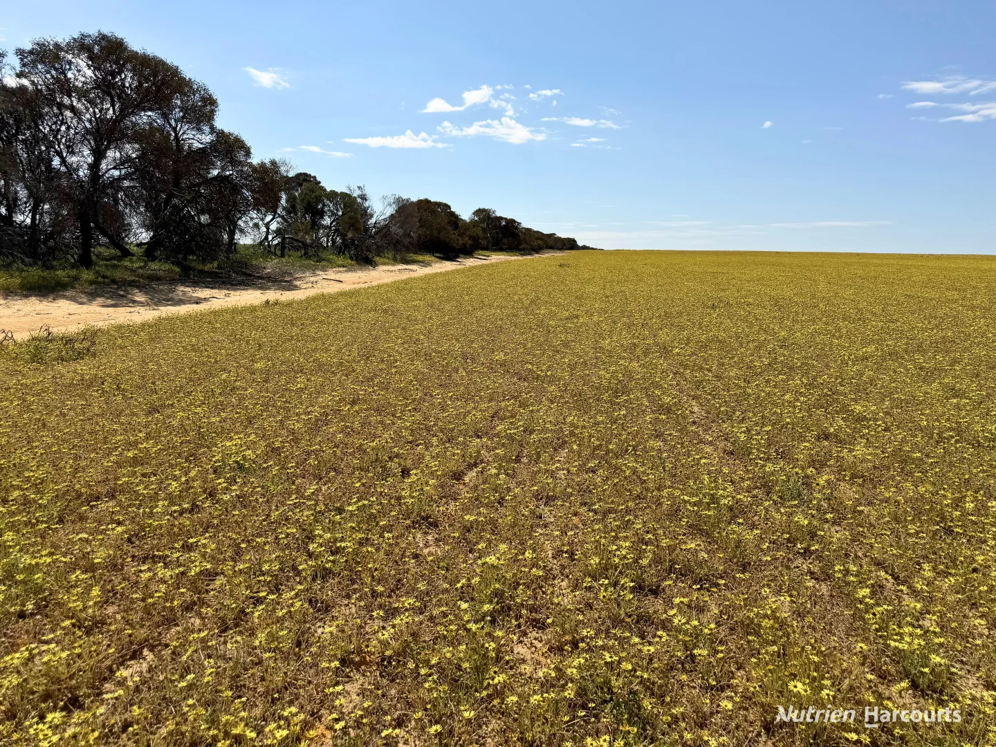 Lot 1 Calzoni Road - Image 5