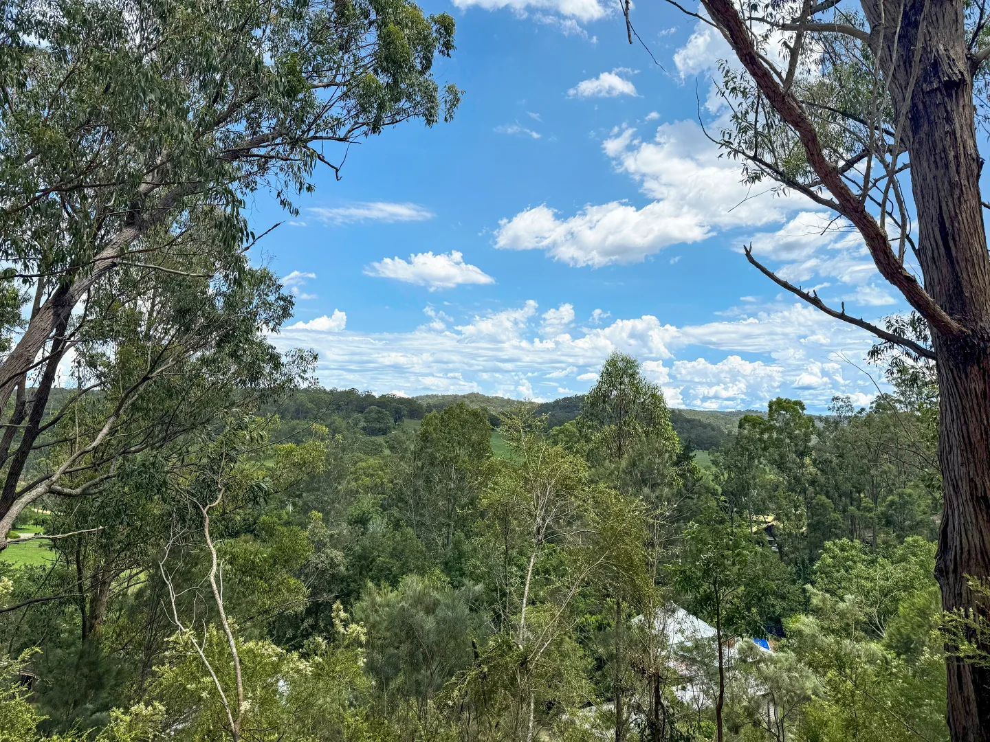 Lot 1 Prudence Street (1/13)