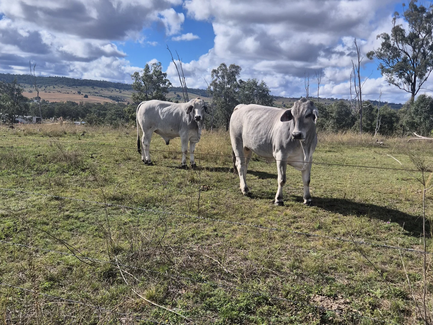 Lot 1 Weir Road - Image 5