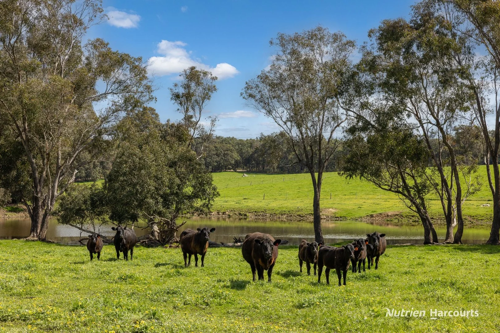 Lot 100 Yarri Road (1/3)