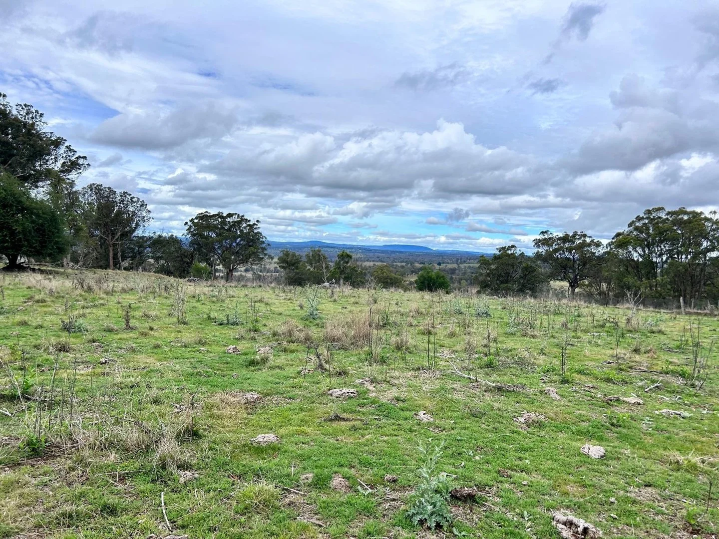 Lot 102 Jenkyn Lane (1/1)