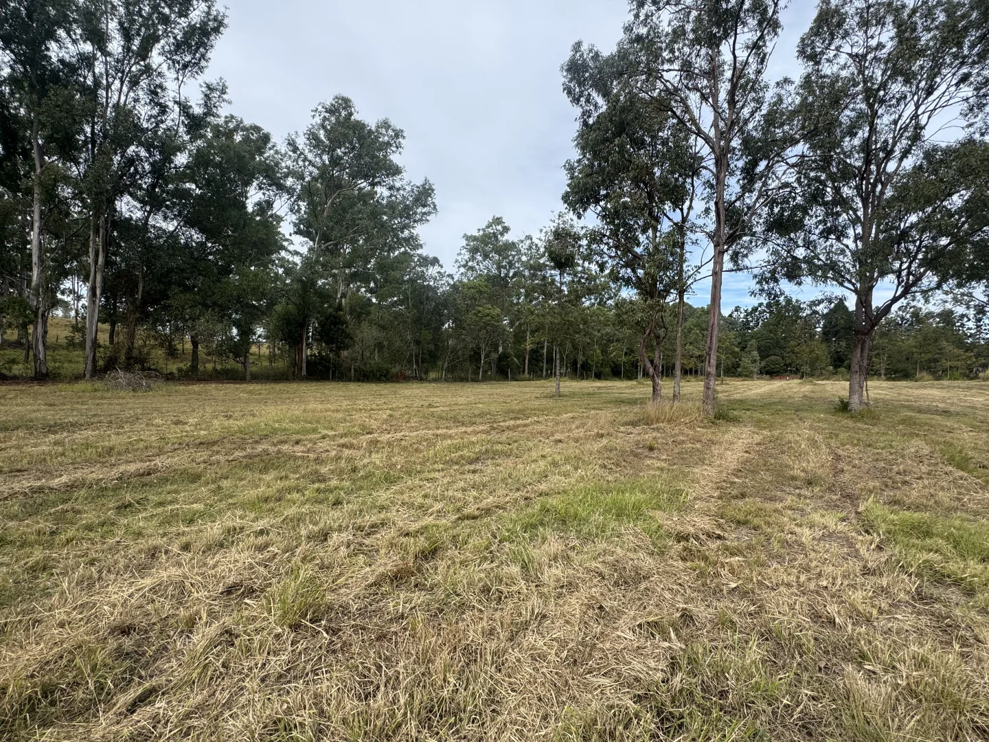 Lot 11 - Image 4