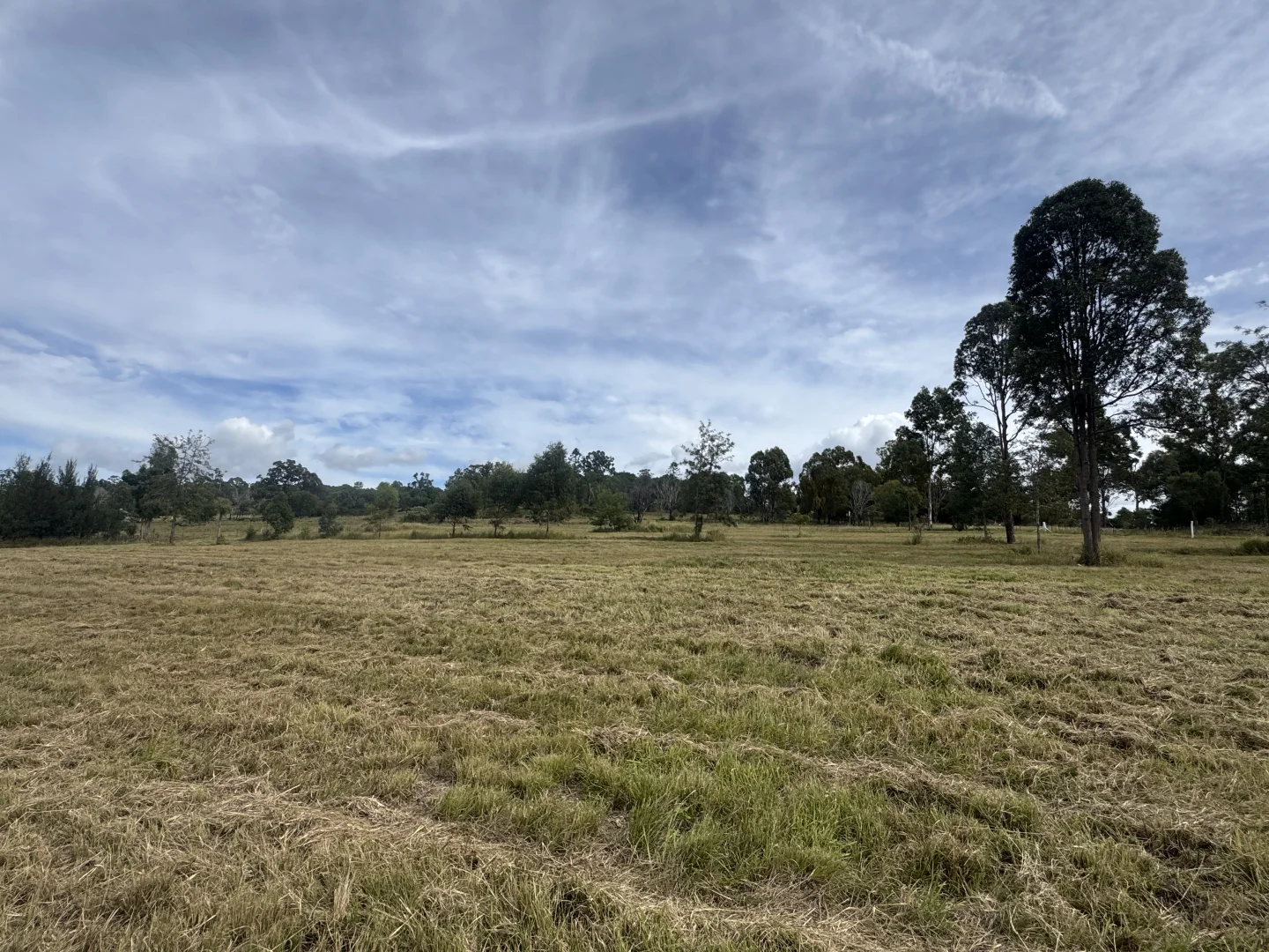 Lot 11 - Image 5