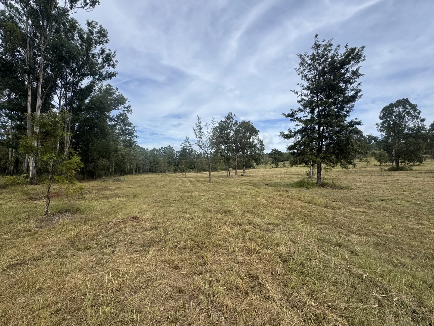 Lot 11 - Image 2
