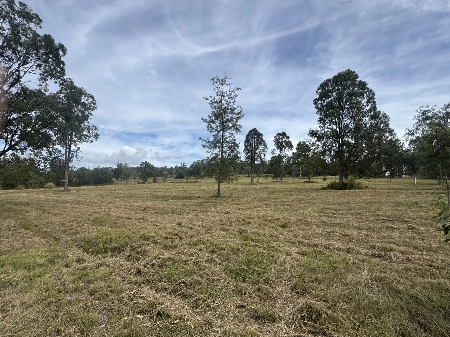 Lot 11 - Image 3