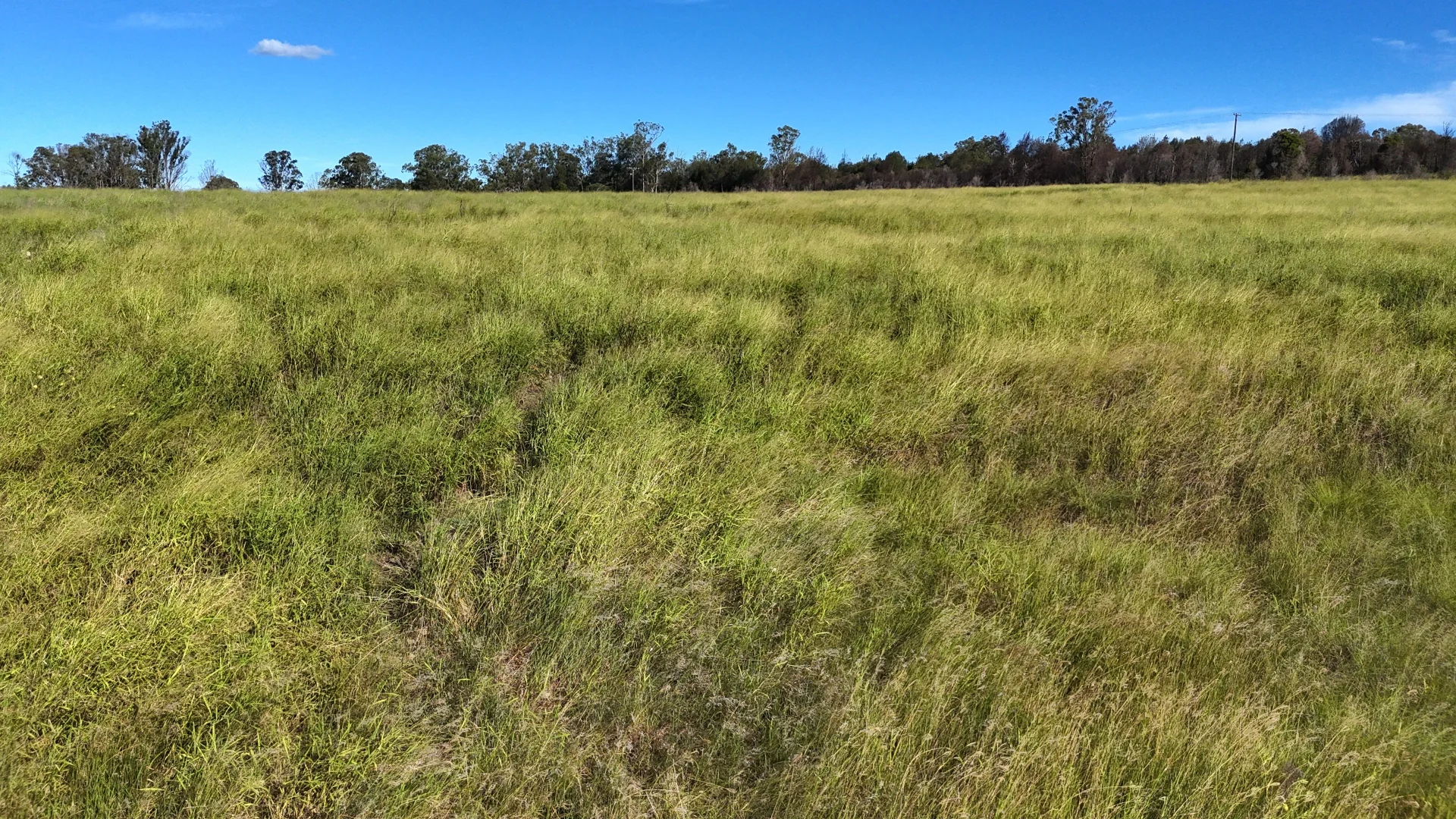 Lot 112 Wondai Proston Road - Image 2
