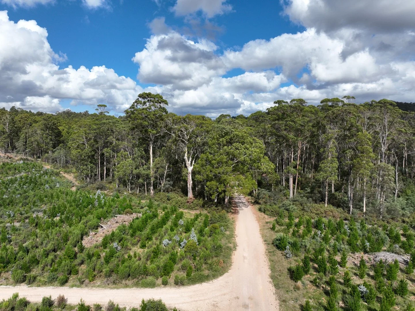 Lot 12 &13 Porters Bridge Road (1/3)