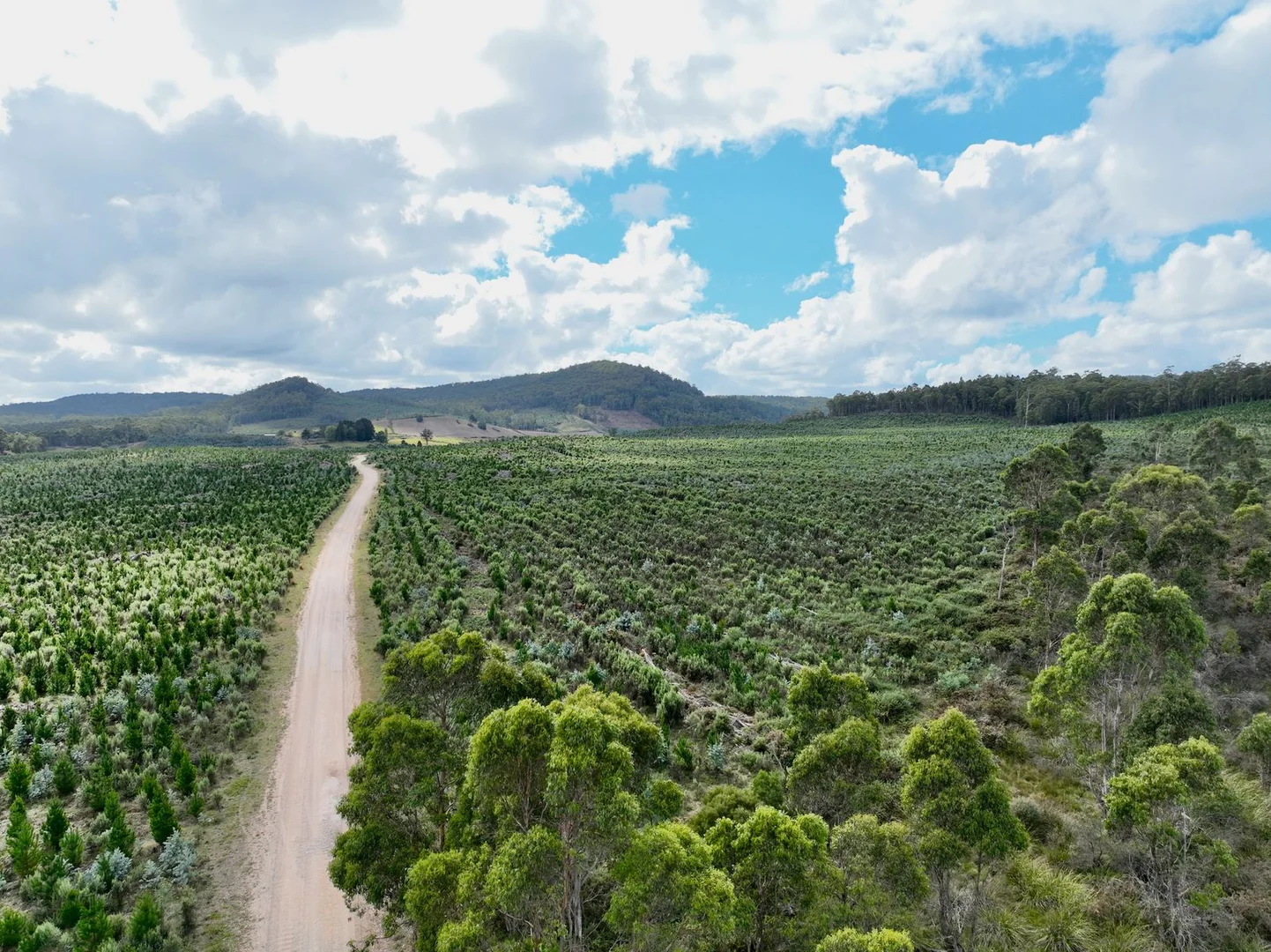 Lot 12 &13 Porters Bridge Road - Image 3
