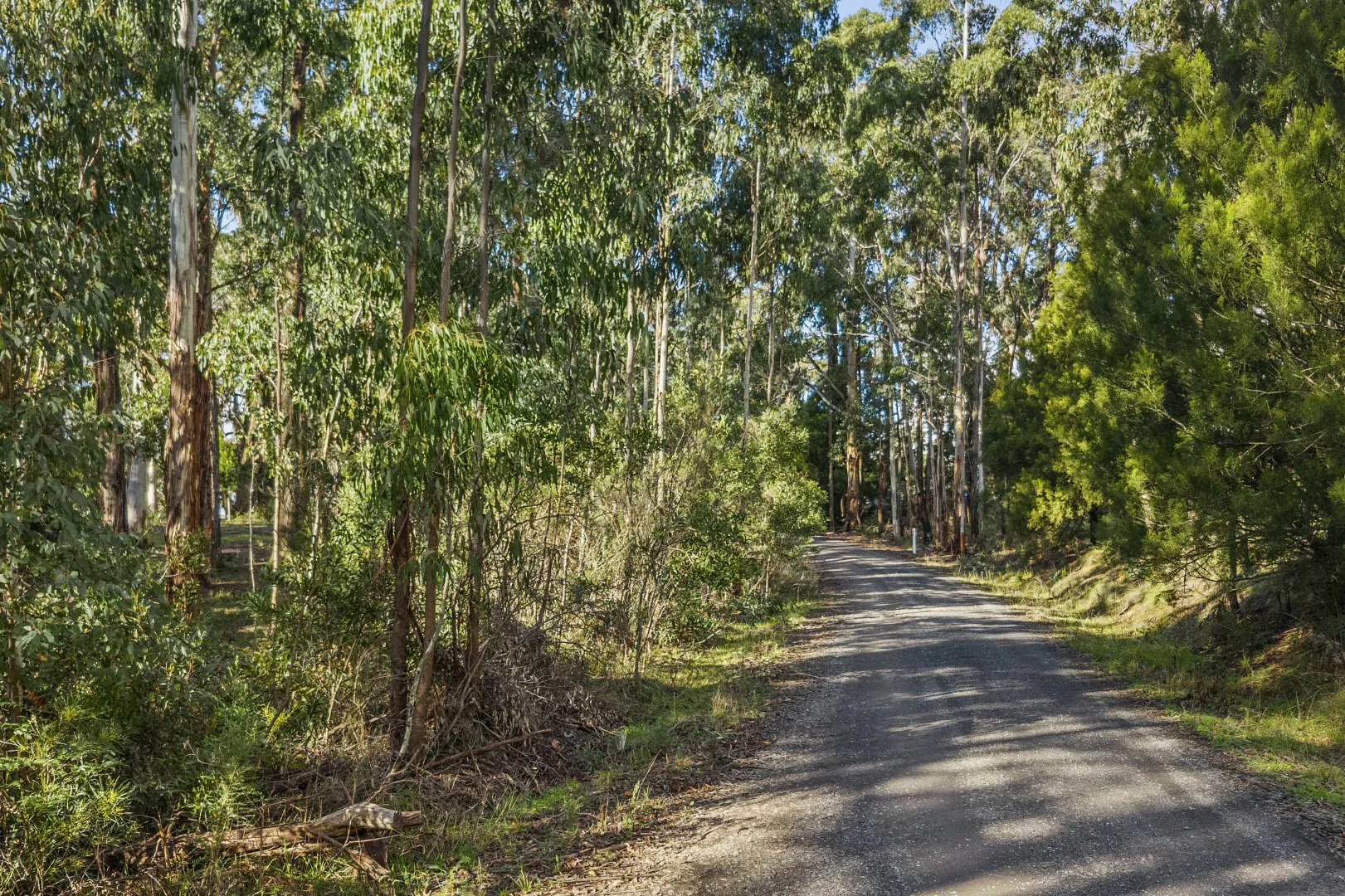 Lot 12 McLennan Street - Image 3