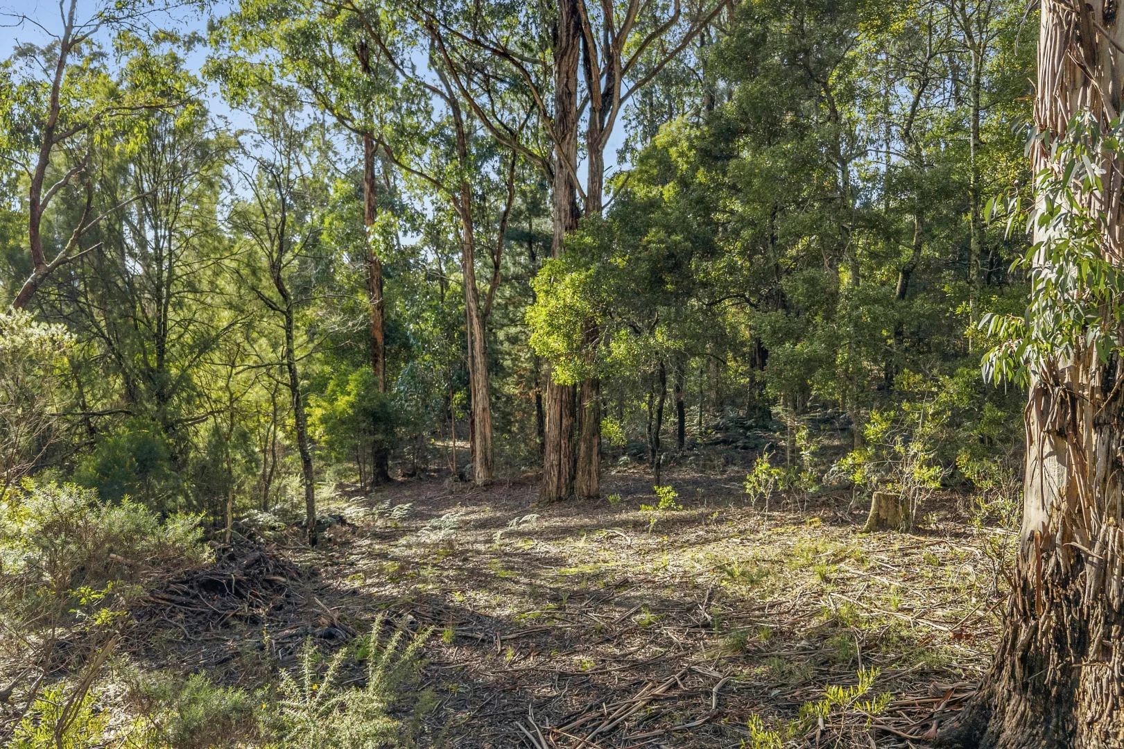 Lot 12 McLennan Street - Image 4