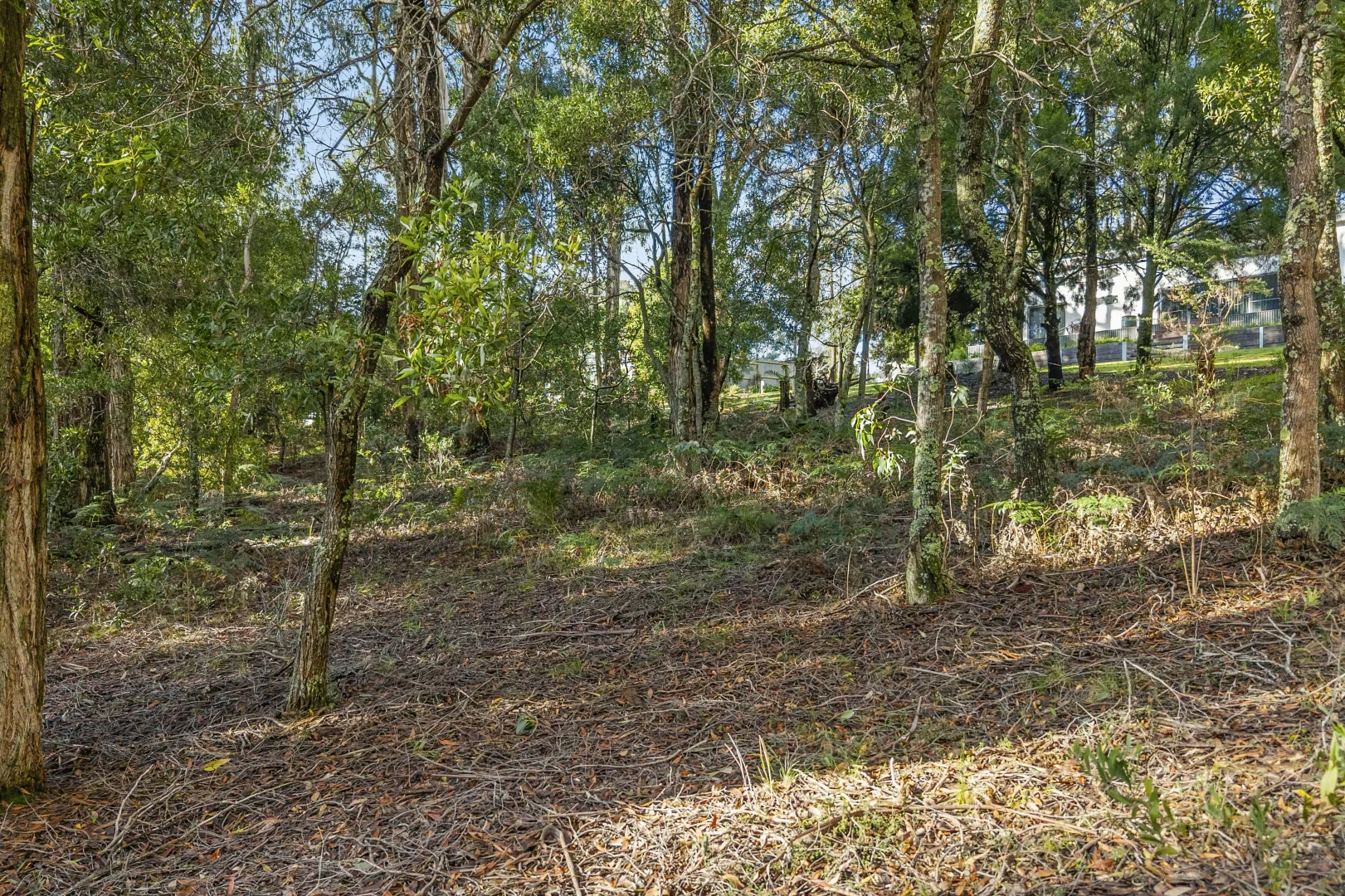Lot 12 McLennan Street - Image 5