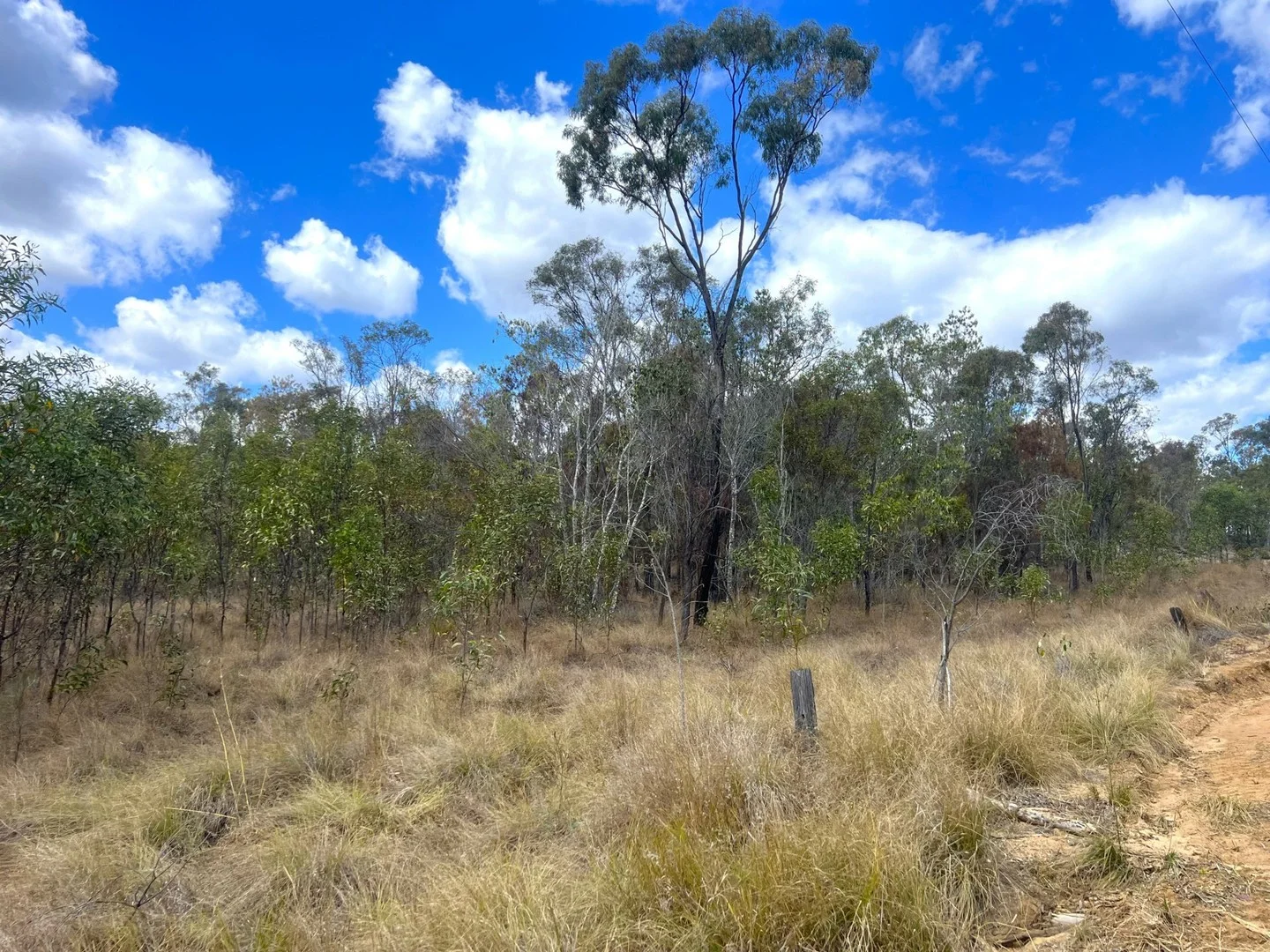 Lot 13 Walkers Road (1/3)