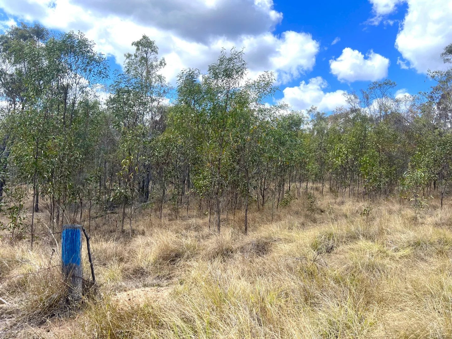 Lot 13 Walkers Road - Image 4