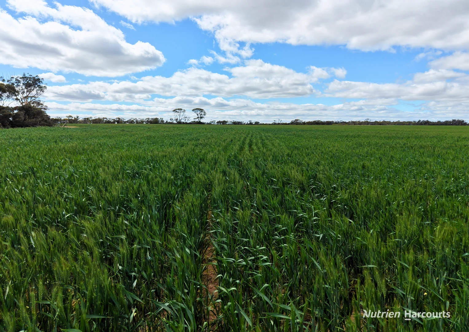 Lot 1495 East Boundary Road - Image 5