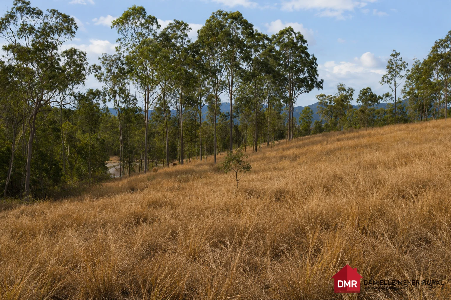Lot 161 Little Reids Creek Road - Image 2