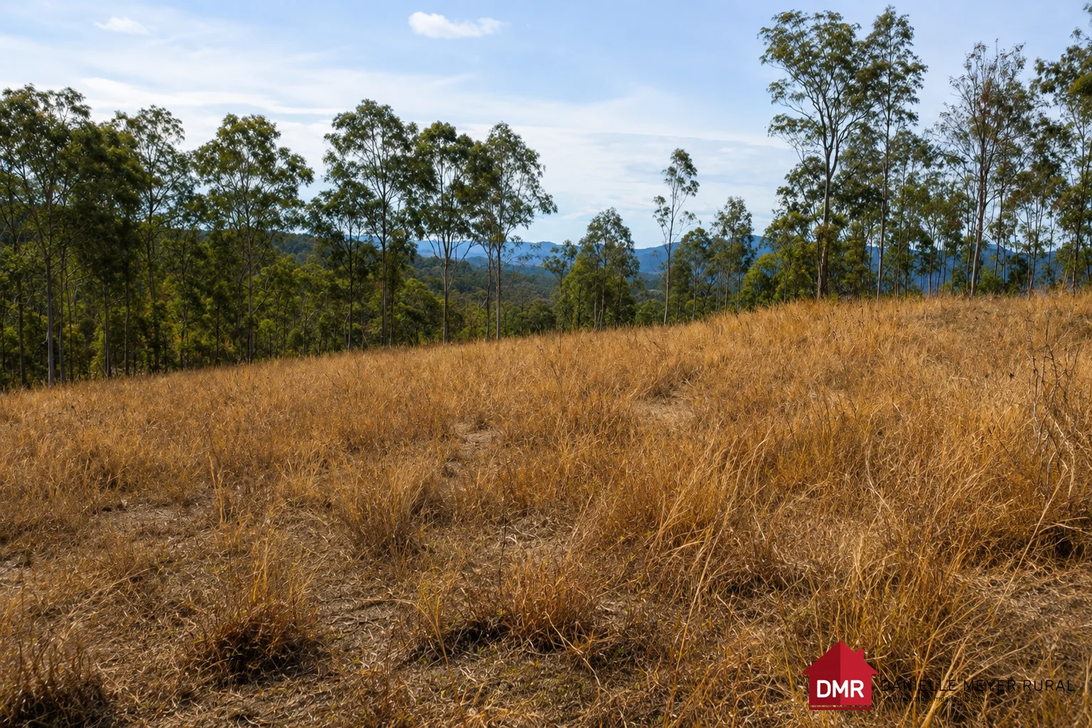 Lot 161 Little Reids Creek Road, Mount Perry QLD | Schools & Family ...