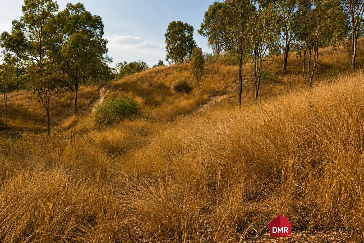 Lot 161 Little Reids Creek Road, Mount Perry QLD | Schools & Family ...