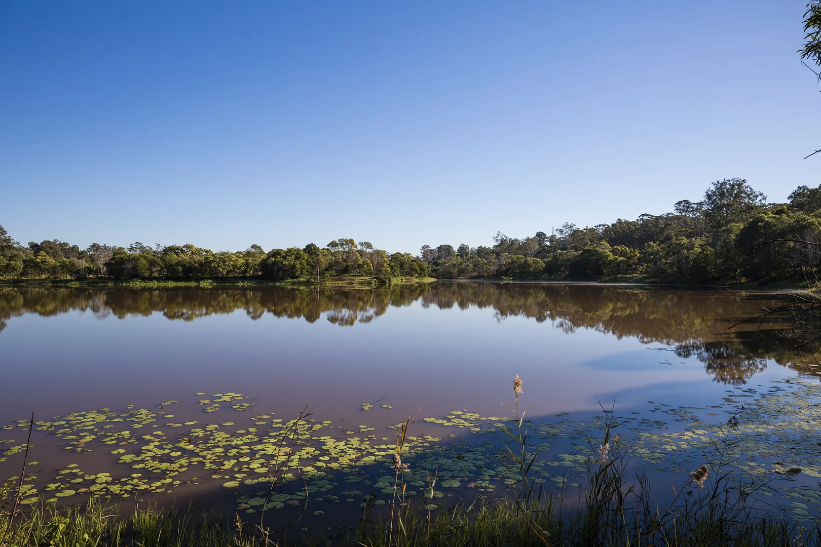 Lot 183 Paradise Lakes - Image 5