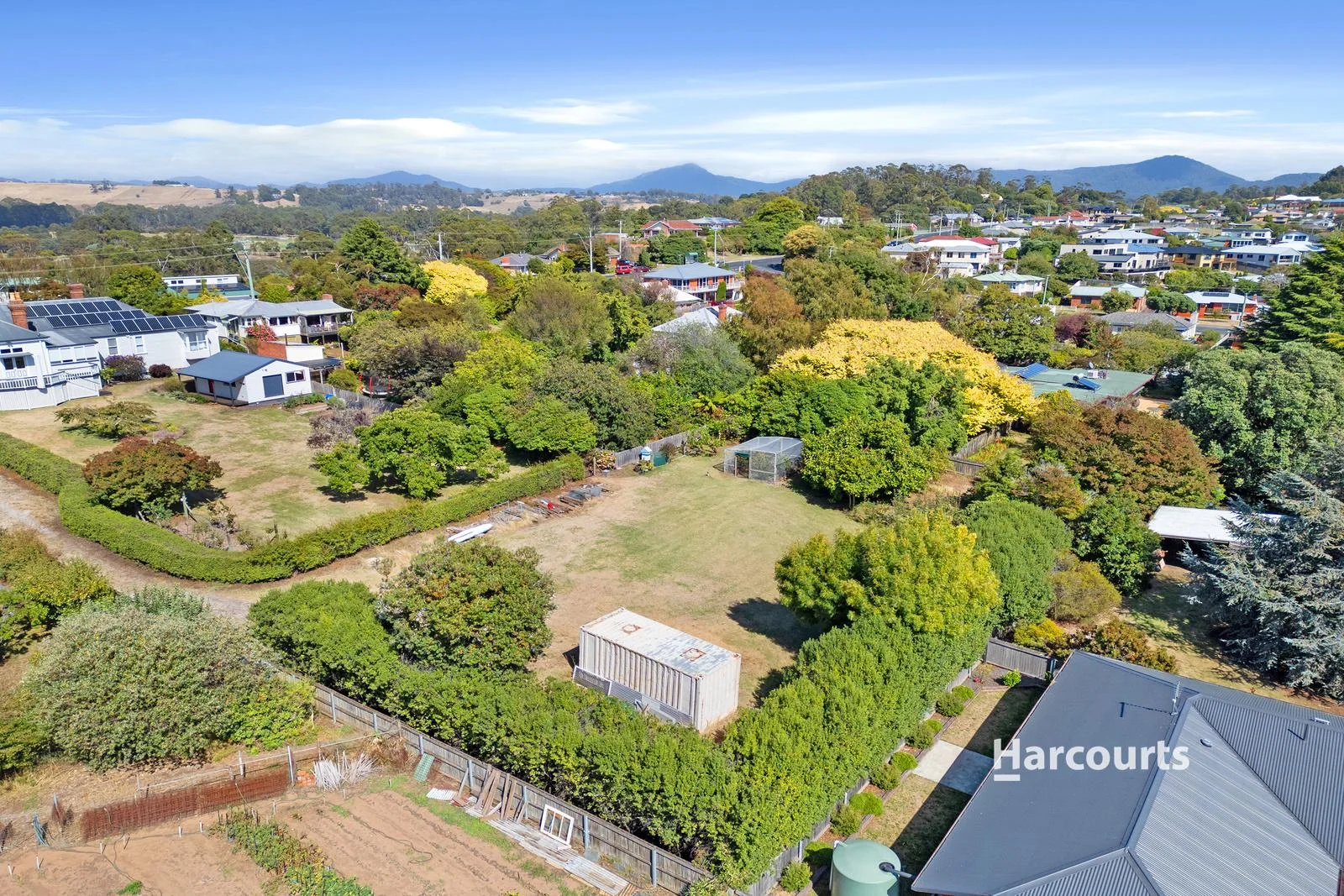 Lot 2 - Image 3