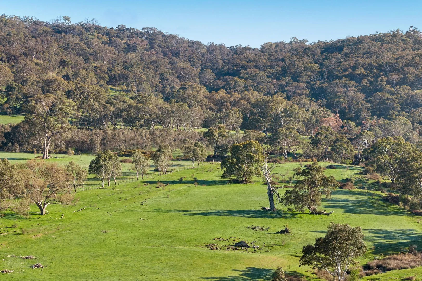 Lot 2/546 Goldfields Road - Image 4